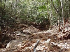 Antsahampano�ߍx�̗�